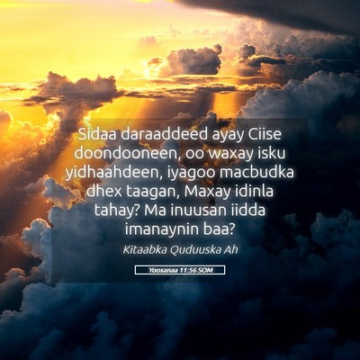 Picture 05 - Yooxanaa 11:56 SOM - Sidaa daraaddeed ayay Ciise doondooneen, oo waxay - Bible Verse Picture
