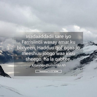 Picture 05 - Yooxanaa 11:57 SOM - Wadaaddadii sare iyo Farrisiintii waxay amar ku - Bible Verse Picture