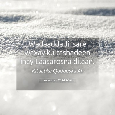 Picture 05 - Yooxanaa 12:10 SOM - Wadaaddadii sare waxay ku tashadeen inay - Bible Verse Picture