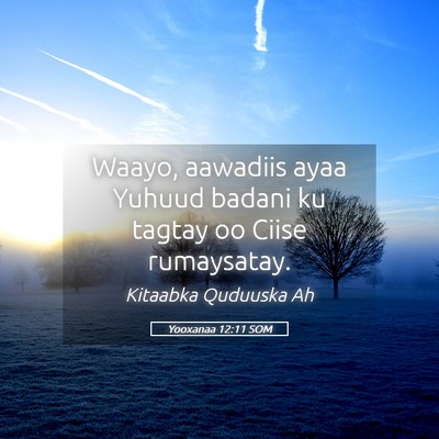Picture 05 - Yooxanaa 12:11 SOM - Waayo, aawadiis ayaa Yuhuud badani ku tagtay oo - Bible Verse Picture