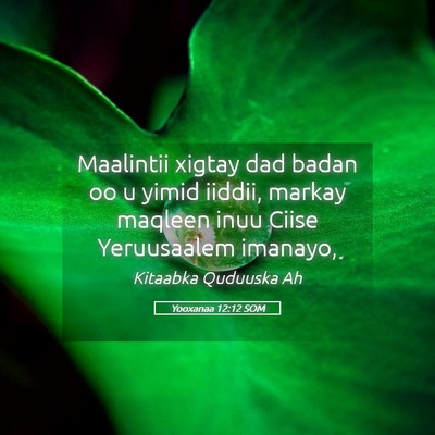 Picture 05 - Yooxanaa 12:12 SOM - Maalintii xigtay dad badan oo u yimid iiddii, - Bible Verse Picture