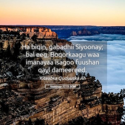 Picture 05 - Yooxanaa 12:15 SOM - Ha biqin, gabadhii Siyoonay; bal eeg, Boqorkaagu - Bible Verse Picture