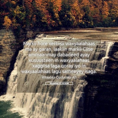 Picture 05 - Yooxanaa 12:16 SOM - Markii hore xertiisii waxyaalahaas ma ay garan, - Bible Verse Picture