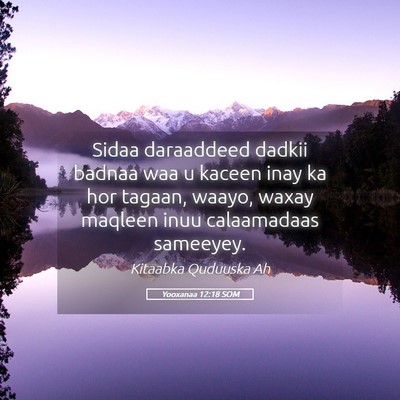 Picture 05 - Yooxanaa 12:18 SOM - Sidaa daraaddeed dadkii badnaa waa u kaceen inay - Bible Verse Picture