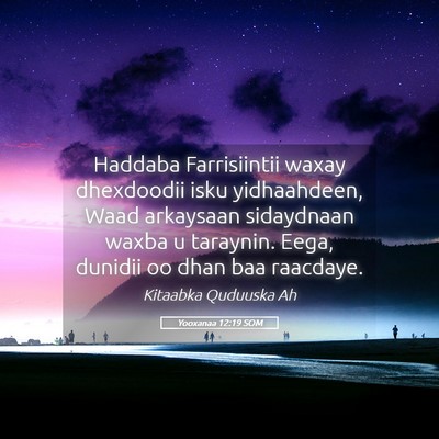 Picture 05 - Yooxanaa 12:19 SOM - Haddaba Farrisiintii waxay dhexdoodii isku - Bible Verse Picture