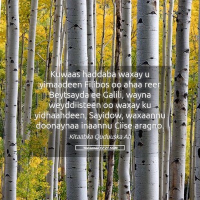 Picture 05 - Yooxanaa 12:21 SOM - Kuwaas haddaba waxay u yimaadeen Filibos oo ahaa - Bible Verse Picture