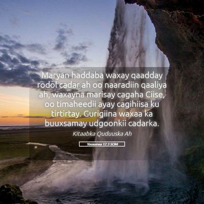 Picture 05 - Yooxanaa 12:3 SOM - Maryan haddaba waxay qaadday rodol cadar ah oo - Bible Verse Picture