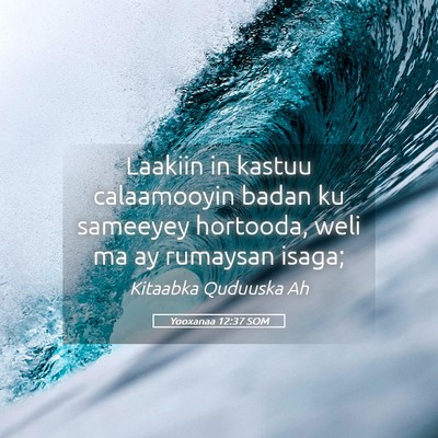 Picture 05 - Yooxanaa 12:37 SOM - Laakiin in kastuu calaamooyin badan ku sameeyey - Bible Verse Picture