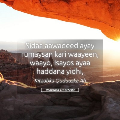 Picture 05 - Yooxanaa 12:39 SOM - Sidaa aawadeed ayay rumaysan kari waayeen, waayo, - Bible Verse Picture