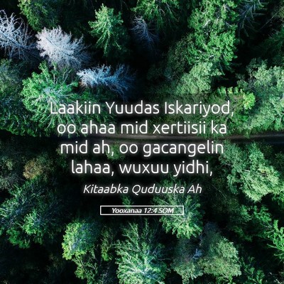 Picture 05 - Yooxanaa 12:4 SOM - Laakiin Yuudas Iskariyod, oo ahaa mid xertiisii - Bible Verse Picture