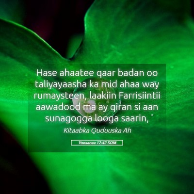 Picture 05 - Yooxanaa 12:42 SOM - Hase ahaatee qaar badan oo taliyayaasha ka mid - Bible Verse Picture