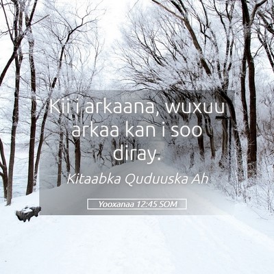 Picture 05 - Yooxanaa 12:45 SOM - Kii i arkaana, wuxuu arkaa kan i soo - Bible Verse Picture
