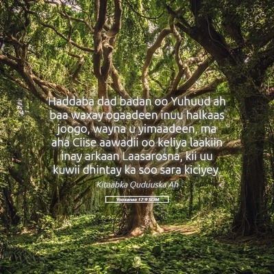 Picture 05 - Yooxanaa 12:9 SOM - Haddaba dad badan oo Yuhuud ah baa waxay ogaadeen - Bible Verse Picture
