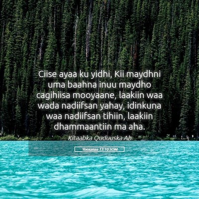 Picture 05 - Yooxanaa 13:10 SOM - Ciise ayaa ku yidhi, Kii maydhni uma baahna inuu - Bible Verse Picture