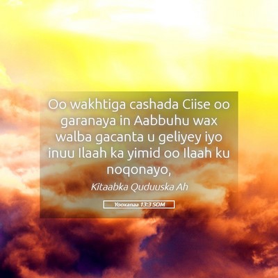 Picture 05 - Yooxanaa 13:3 SOM - Oo wakhtiga cashada Ciise oo garanaya in Aabbuhu - Bible Verse Picture