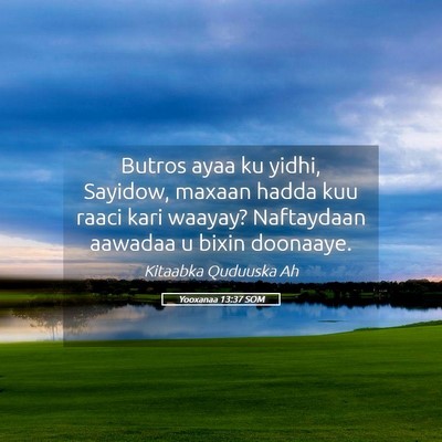 Picture 05 - Yooxanaa 13:37 SOM - Butros ayaa ku yidhi, Sayidow, maxaan hadda kuu - Bible Verse Picture