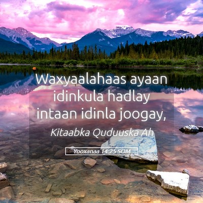 Picture 05 - Yooxanaa 14:25 SOM - Waxyaalahaas ayaan idinkula hadlay intaan idinla - Bible Verse Picture