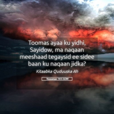 Picture 05 - Yooxanaa 14:5 SOM - Toomas ayaa ku yidhi, Sayidow, ma naqaan meeshaad - Bible Verse Picture