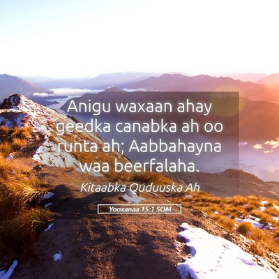 Picture 05 - Yooxanaa 15:1 SOM - Anigu waxaan ahay geedka canabka ah oo runta ah; - Bible Verse Picture
