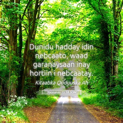 Picture 05 - Yooxanaa 15:18 SOM - Dunidu hadday idin nebcaato, waad garanaysaan - Bible Verse Picture