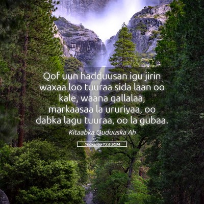 Picture 05 - Yooxanaa 15:6 SOM - Qof uun hadduusan igu jirin waxaa loo tuuraa sida - Bible Verse Picture