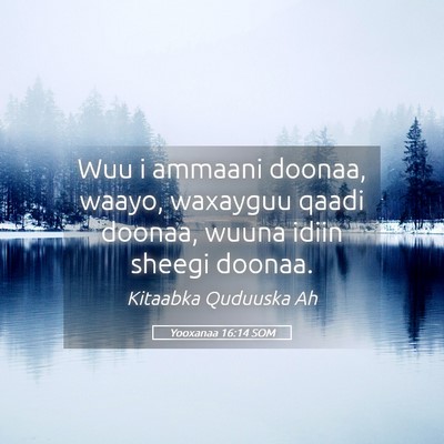 Picture 05 - Yooxanaa 16:14 SOM - Wuu i ammaani doonaa, waayo, waxayguu qaadi - Bible Verse Picture