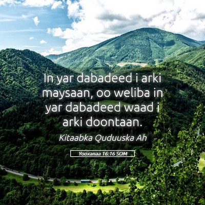 Picture 05 - Yooxanaa 16:16 SOM - In yar dabadeed i arki maysaan, oo weliba in yar - Bible Verse Picture