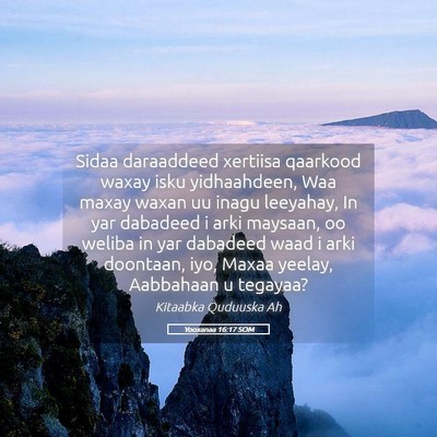 Picture 05 - Yooxanaa 16:17 SOM - Sidaa daraaddeed xertiisa qaarkood waxay isku - Bible Verse Picture