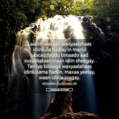 Picture 05 - Yooxanaa 16:4 SOM - Laakiin waxaan waxyaalahaas idiinkula hadlay in - Bible Verse Picture