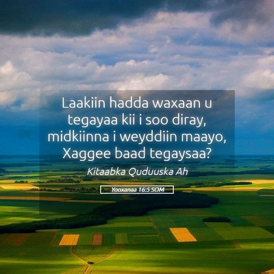 Picture 05 - Yooxanaa 16:5 SOM - Laakiin hadda waxaan u tegayaa kii i soo diray, - Bible Verse Picture
