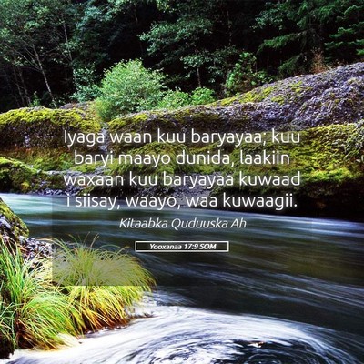 Picture 05 - Yooxanaa 17:9 SOM - Iyaga waan kuu baryayaa; kuu baryi maayo dunida, - Bible Verse Picture