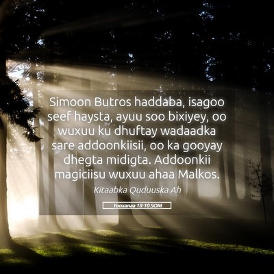 Picture 05 - Yooxanaa 18:10 SOM - Simoon Butros haddaba, isagoo seef haysta, ayuu - Bible Verse Picture
