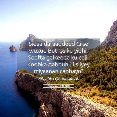 Picture 05 - Yooxanaa 18:11 SOM - Sidaa daraaddeed Ciise wuxuu Butros ku yidhi, - Bible Verse Picture