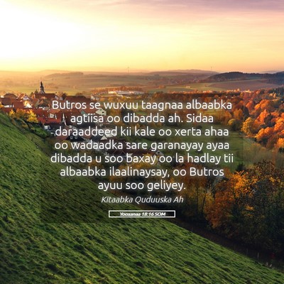 Picture 05 - Yooxanaa 18:16 SOM - Butros se wuxuu taagnaa albaabka agtiisa oo - Bible Verse Picture