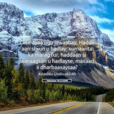 Picture 05 - Yooxanaa 18:23 SOM - Ciise ayaa ugu jawaabay, Haddii aan si xun u - Bible Verse Picture