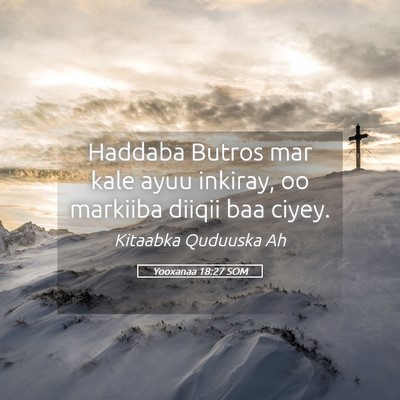 Picture 05 - Yooxanaa 18:27 SOM - Haddaba Butros mar kale ayuu inkiray, oo markiiba - Bible Verse Picture