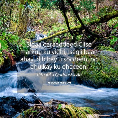 Picture 05 - Yooxanaa 18:6 SOM - Sidaa daraaddeed Ciise markuu ku yidhi, Isagii - Bible Verse Picture