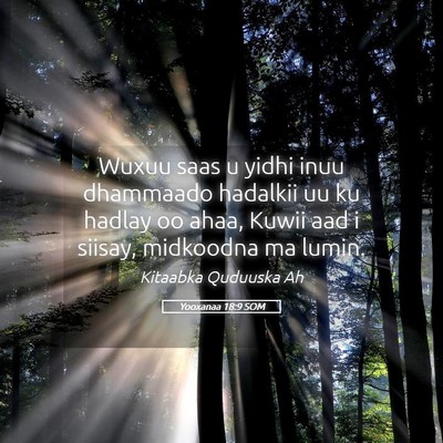 Picture 05 - Yooxanaa 18:9 SOM - Wuxuu saas u yidhi inuu dhammaado hadalkii uu ku - Bible Verse Picture