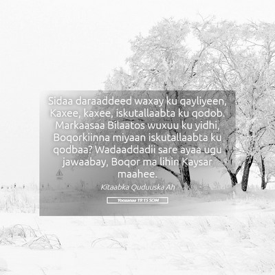 Picture 05 - Yooxanaa 19:15 SOM - Sidaa daraaddeed waxay ku qayliyeen, Kaxee, - Bible Verse Picture