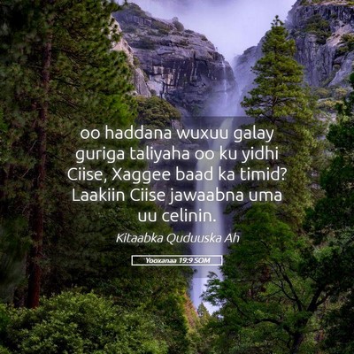 Picture 05 - Yooxanaa 19:9 SOM - oo haddana wuxuu galay guriga taliyaha oo ku - Bible Verse Picture