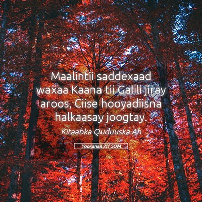 Picture 05 - Yooxanaa 2:1 SOM - Maalintii saddexaad waxaa Kaana tii Galili jiray - Bible Verse Picture
