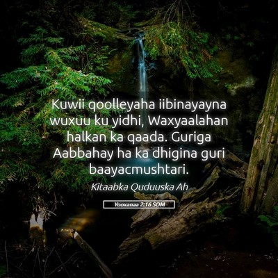 Picture 05 - Yooxanaa 2:16 SOM - Kuwii qoolleyaha iibinayayna wuxuu ku yidhi, - Bible Verse Picture