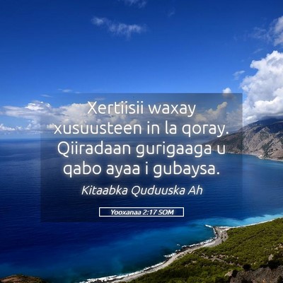 Picture 05 - Yooxanaa 2:17 SOM - Xertiisii waxay xusuusteen in la qoray. Qiiradaan - Bible Verse Picture