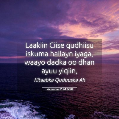 Picture 05 - Yooxanaa 2:24 SOM - Laakiin Ciise qudhiisu iskuma hallayn iyaga, - Bible Verse Picture