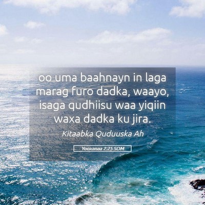 Picture 05 - Yooxanaa 2:25 SOM - oo uma baahnayn in laga marag furo dadka, waayo, - Bible Verse Picture