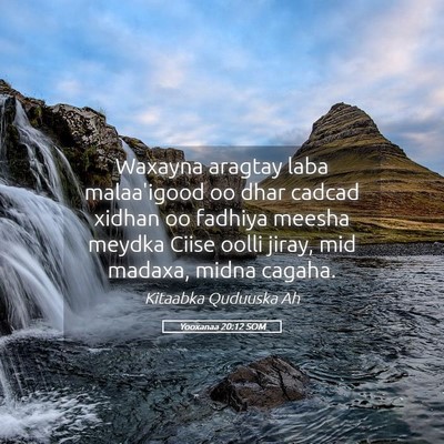 Picture 05 - Yooxanaa 20:12 SOM - Waxayna aragtay laba malaa'igood oo dhar cadcad - Bible Verse Picture