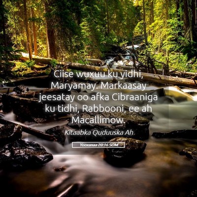 Picture 05 - Yooxanaa 20:16 SOM - Ciise wuxuu ku yidhi, Maryamay. Markaasay - Bible Verse Picture