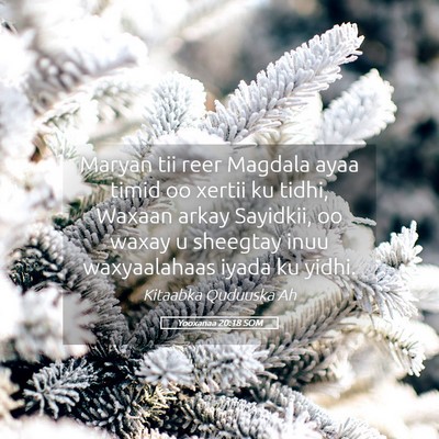 Picture 05 - Yooxanaa 20:18 SOM - Maryan tii reer Magdala ayaa timid oo xertii ku - Bible Verse Picture