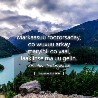Picture 05 - Yooxanaa 20:5 SOM - Markaasuu foororsaday, oo wuxuu arkay maryihii oo - Bible Verse Picture