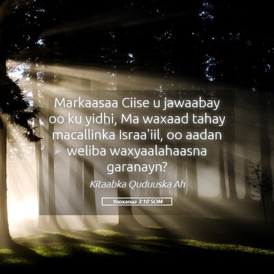 Picture 05 - Yooxanaa 3:10 SOM - Markaasaa Ciise u jawaabay oo ku yidhi, Ma waxaad - Bible Verse Picture